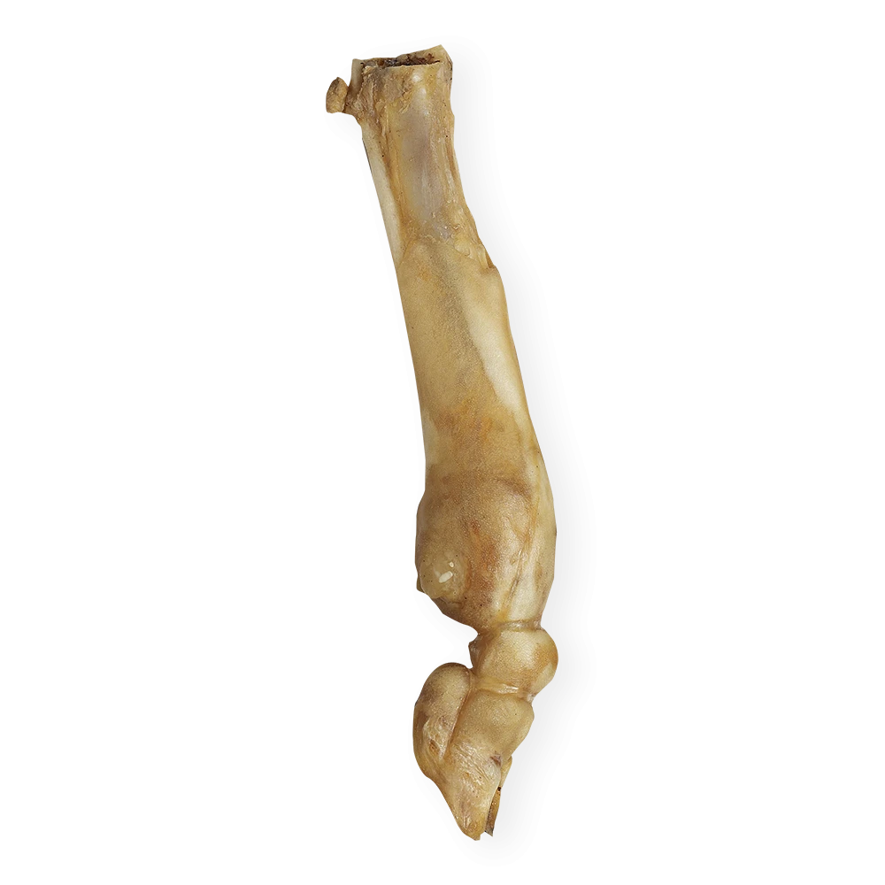 Lamb Bone