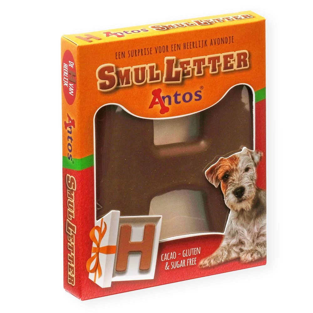 Santa Letter H