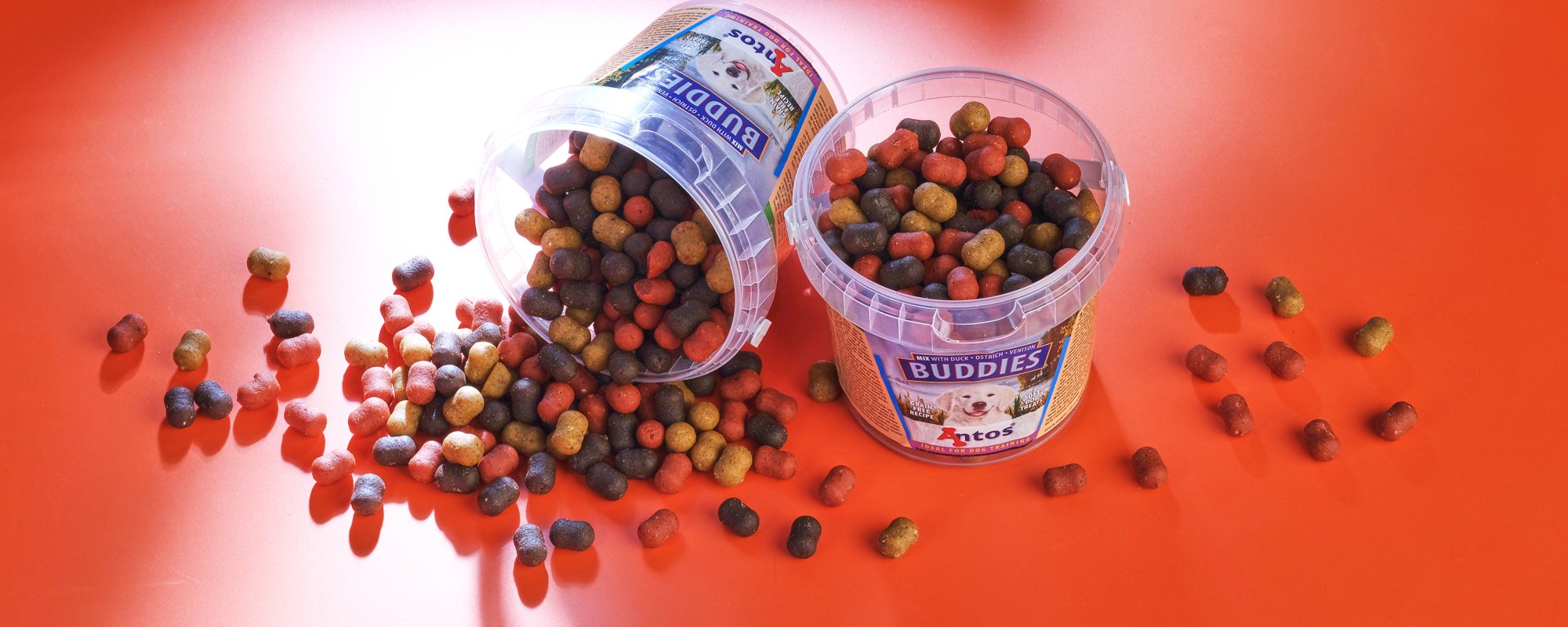 Healthy and happy lifestyle