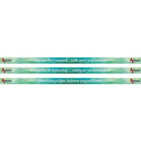 Shelf Strips 980x39 mm 10 pcs